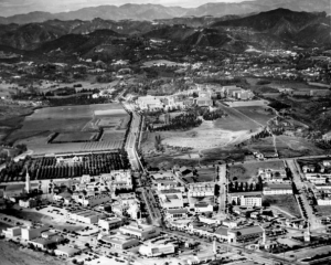 Screen Shot 2015-10-11 at 2.30.33 PM