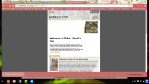 Home page of Biblion: WORLD'S FAIR
